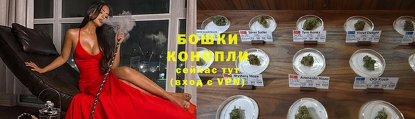 молекула духа Бугульма