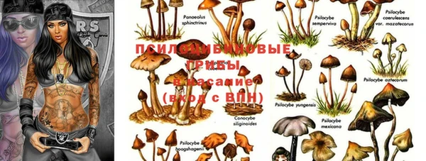 ПСИЛОЦИБИНОВЫЕ ГРИБЫ Богородск