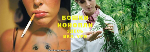 молекула духа Бугульма