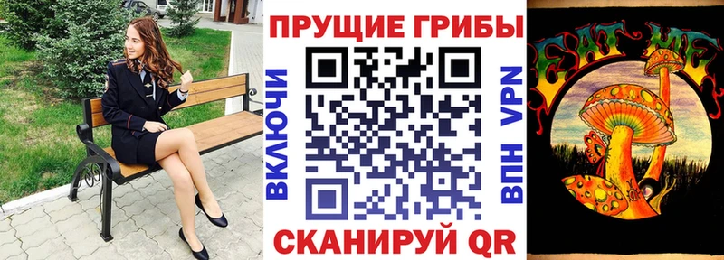 даркнет сайт  Сретенск  Галлюциногенные грибы Magic Shrooms 